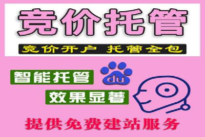 成功案例解析：SEM推广助力企业快速成长